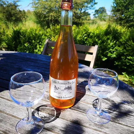 Hébergement de vacances Le Domaine De Coat Rogan, Le De 10 Personnes *